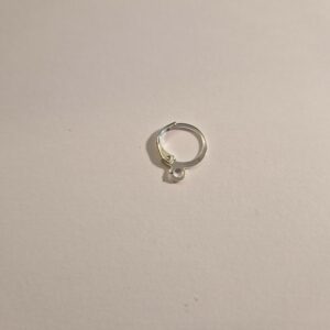 Hypoallergeen oorbel zilver