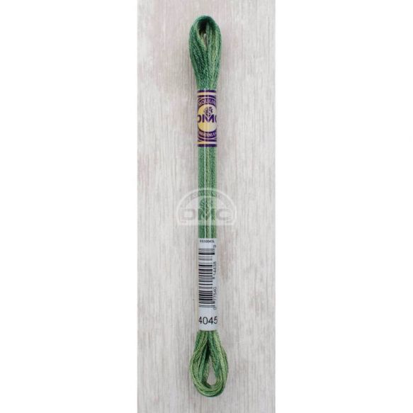 DMC Variations 4045 groen