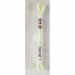 DMC Variations 4060 licht groen, blauw