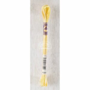 DMC Variations 4080 groen, beige