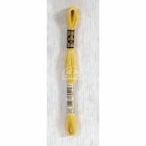 Dmc Mouline splijtzijde 3821