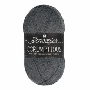 Scrumptious 372 Chia seed pudding