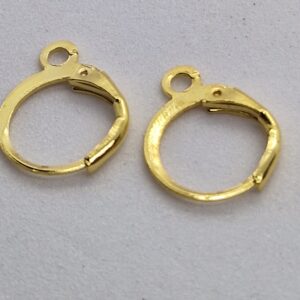 Hypoallergeen oorbel goud